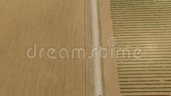 葡萄园与麦田之间郊区道路的鸟瞰图视频的预览图