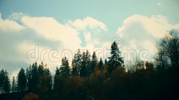 白色积云在杉树上快速移动视频的预览图
