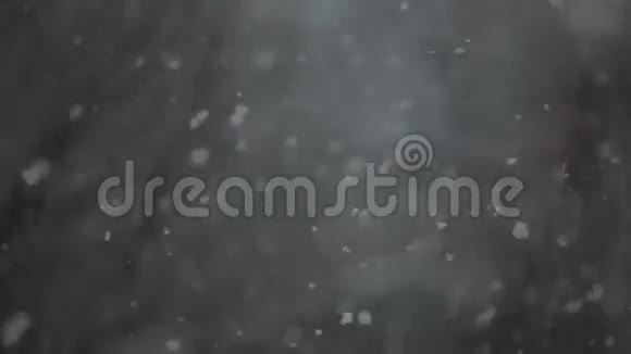 落雪靠近镜头视频的预览图