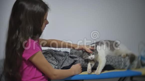 小女孩抚摸着躺在熨衣板上的猫小女孩猫友谊宠物慢动作视频视频的预览图
