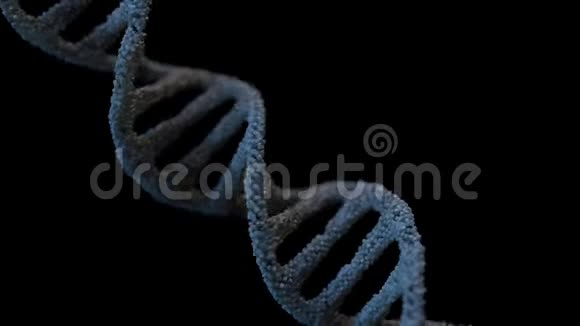 DNA链双螺旋循环动画视频的预览图