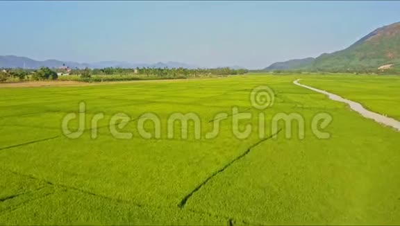 空中观景稻田靠近公路与乡村和天空视频的预览图