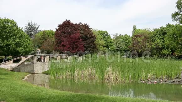 石桥池塘公园视频的预览图