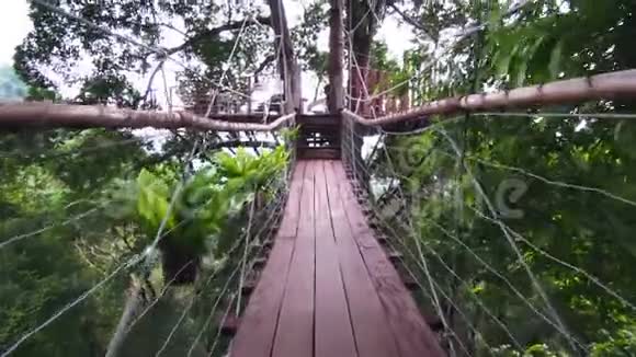 漫步在森林悬桥天行道POV视频的预览图