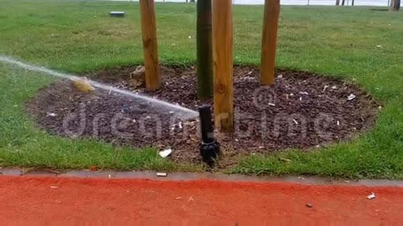 公园里的一棵树旁边的洒水器视频的预览图
