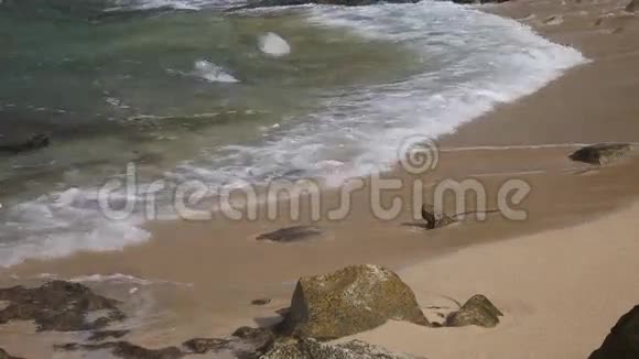 瓦胡岛西海岸小海湾视频的预览图