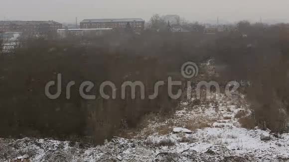 城里下着大雪视频的预览图