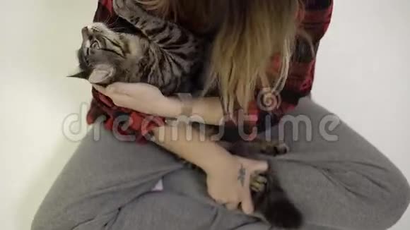 女孩爱她的小猫在地板上亲吻关爱喜欢视频的预览图