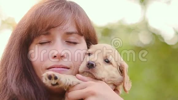 女孩熨一只小狗视频的预览图