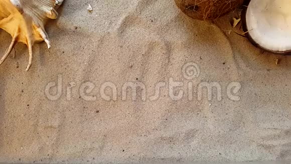 在沙滩上用贝壳和椰子写着放松这个词视频的预览图