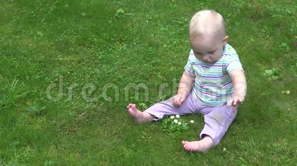 可爱的宝宝探索坐在草坪上的雏菊花新发现4K视频的预览图