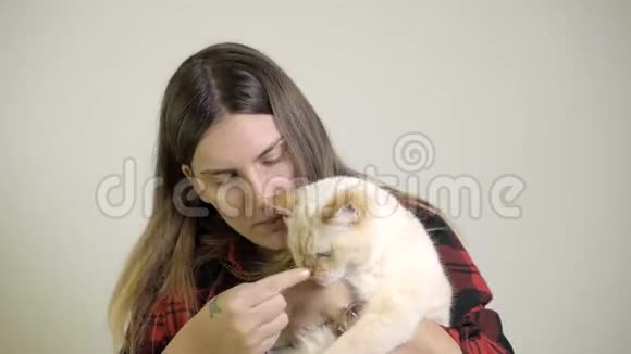 女人用补充的宠物食物在她的膝上喂猫视频的预览图