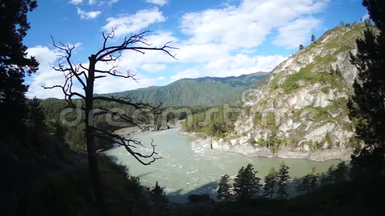 鸟瞰森林中湍急的河流视频的预览图