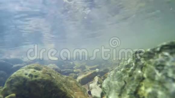 超高清4K水下景观视频的预览图