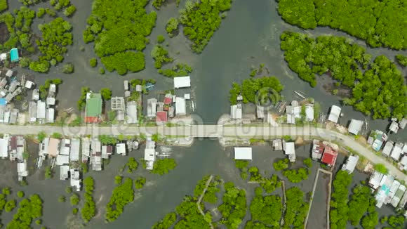 鸟瞰这个城镇在红树林里菲律宾西亚高视频的预览图