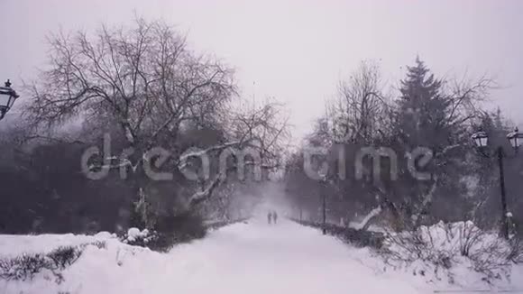 两个人在白雪覆盖的森林里视频的预览图
