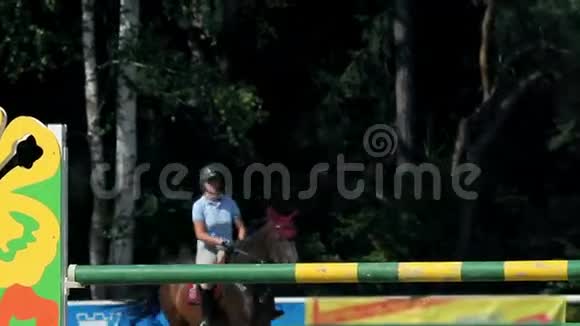 女子骑师跨越障碍物视频的预览图