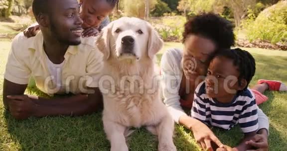 可爱的一家人和一只狗躺在草地上视频的预览图