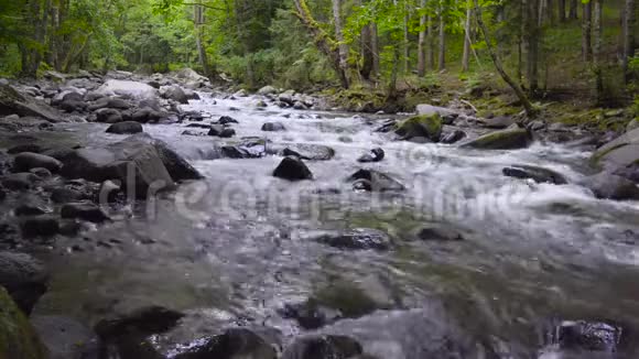 4下午这条山河在树林中急速流过视频的预览图