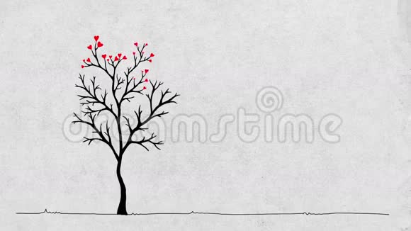 瓦伦丁树视频的预览图