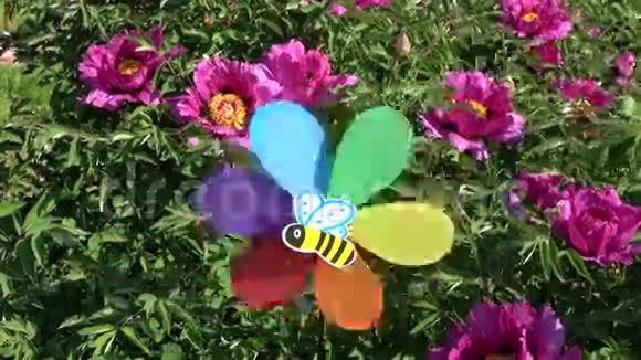 彩虹色装饰风车玩具花园牡丹花丛近风视频的预览图