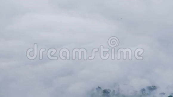 神秘的雾移动时间流逝视频的预览图