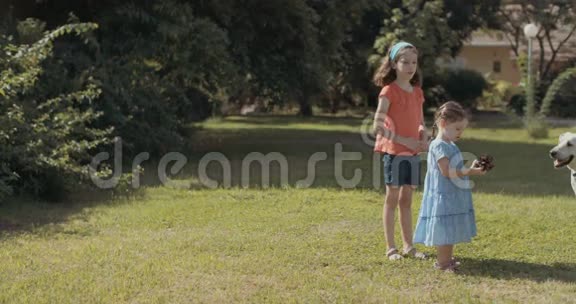小女孩和大白狗玩视频的预览图