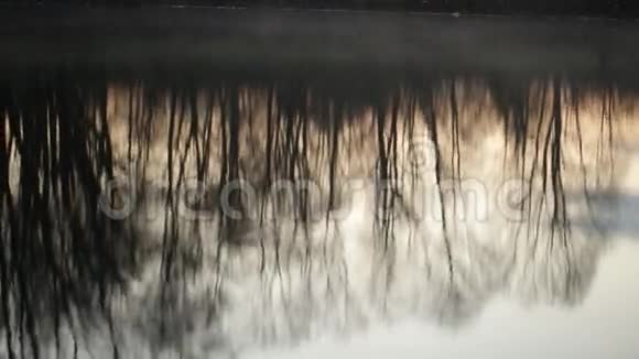 时间流逝清晨水中树木的倒影视频的预览图