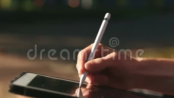 艺术家在公园用手写笔在平板电脑上画草图视频的预览图