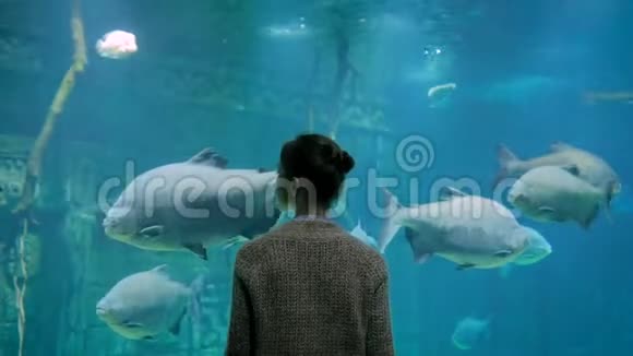 在海洋馆的大型公共鱼缸里看鱼的女人剪影视频的预览图