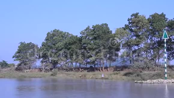 亚洲的海滨景色视频的预览图