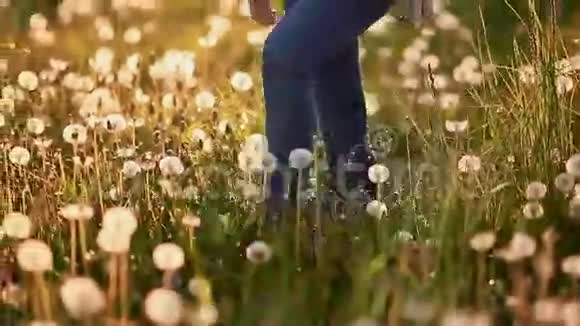 日落时分脚下的女孩带着蒲公英走在田野上视频的预览图