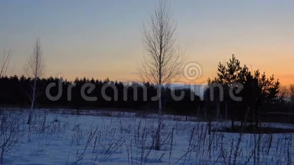 黎明前暮色中的春林风景初春雪还没有融化树木光秃秃的在地平线上视频的预览图