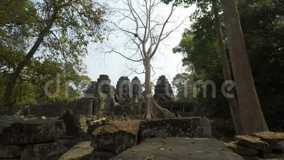柬埔寨吴哥窟寺庙群视频的预览图