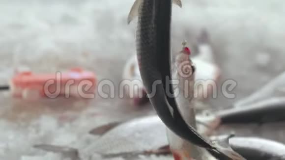 冬天钓鱼时渔民在冰冻的湖面上钓鱼视频的预览图