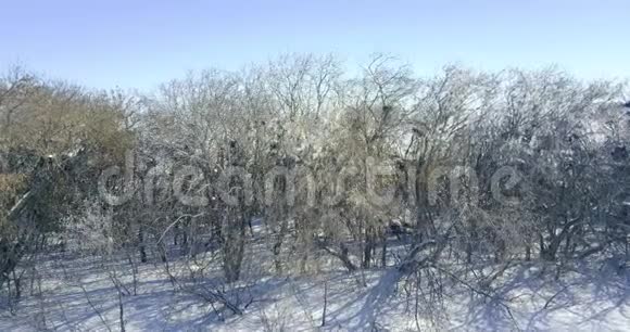 鸟瞰冬季景观视频的预览图