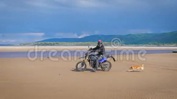 摩托车手骑在沙滩上身后跑着可爱有趣的狗视频的预览图