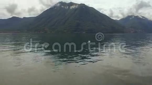 湖上的海鸥意大利的山和镇视频的预览图