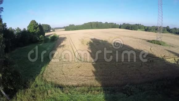 无人机在夏季结束时在农田上空飞行高度可鸟瞰视频的预览图