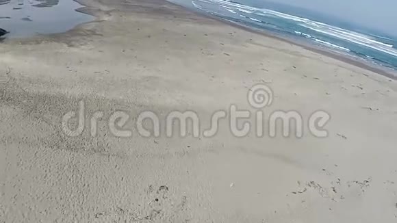 在沙滩和漂流木上的镜头视频的预览图