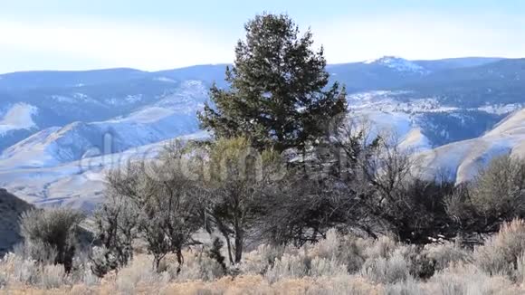爱达荷州荒野扫视视频视频的预览图