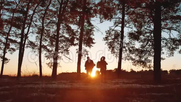 两名游客剪影日落在森林阳光下徒步旅行旅游观光旅游观光旅游观光旅游观光旅游团体视频的预览图