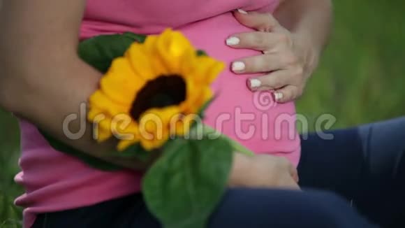 向日葵的细节和孕妇抚摸她的腹部视频的预览图