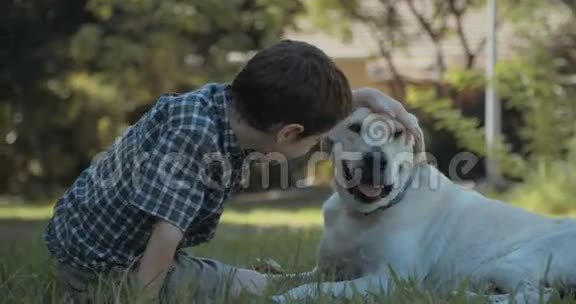 小男孩抚摸和玩一只大白狗视频的预览图