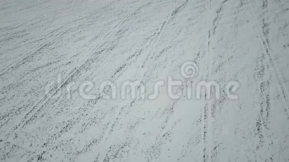 一片覆盖着白雪的冬小麦地的鸟瞰图自然背景视频的预览图