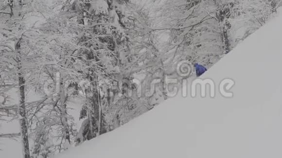 滑雪者Freerider骑在森林里视频的预览图