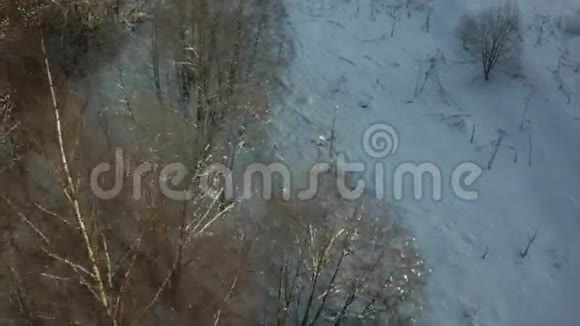 冬季从森林上方看视频的预览图