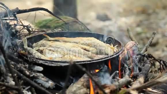 炸淡水鱼格雷林火上煎锅里烤的鱼特写视频的预览图