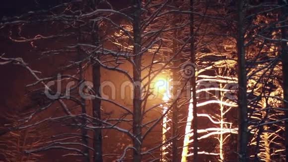 在森林里下雪了视频的预览图