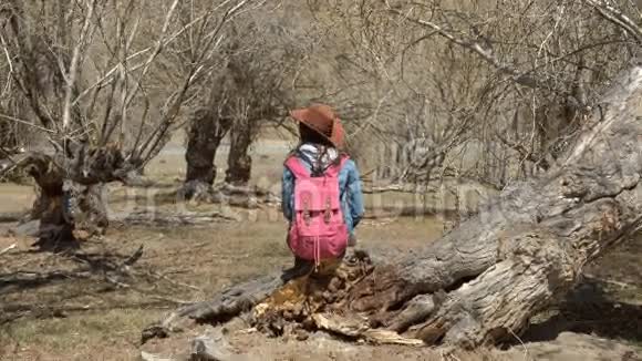 一个戴着宽边帽子的女孩从肩膀后面看出来坐在一棵弯曲的树上停了4K视频的预览图